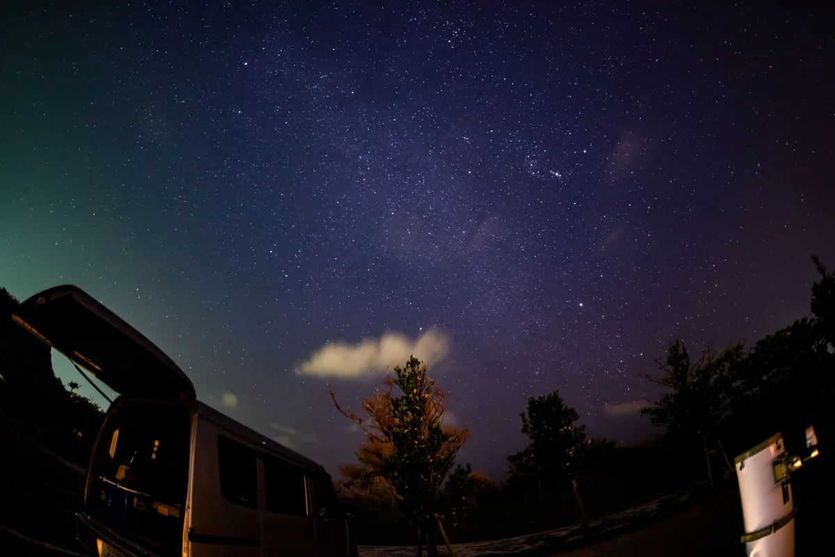 建物と木々の上に広がる星空